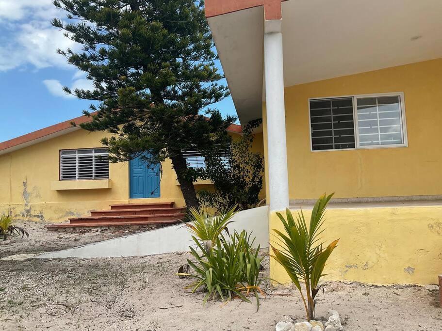 车勒姆La Casa Amarilla Frente Al Mar别墅 外观 照片